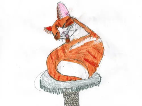 Drawing of Orange Tabby on scratching post grooming